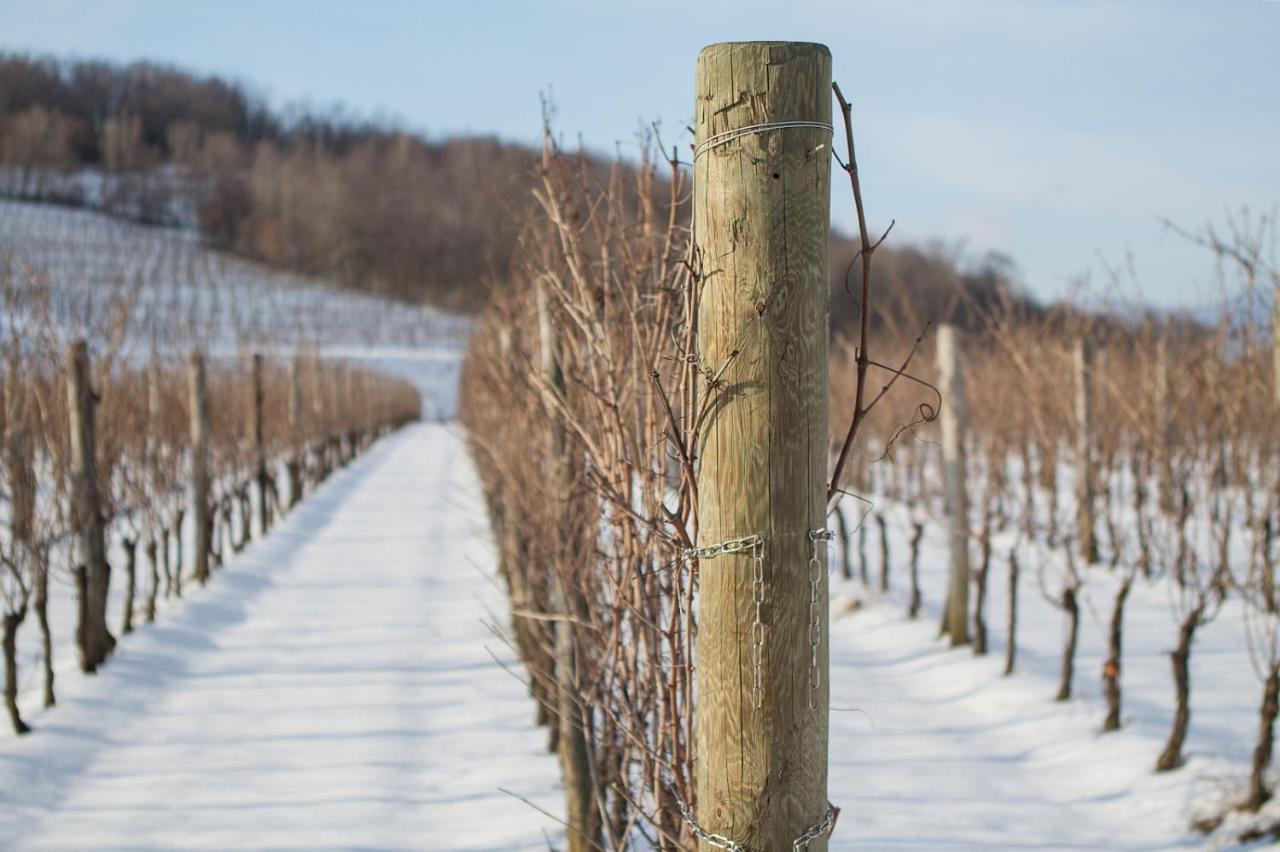 Il Roncal Wine Resort - For Wine Lovers Cividale del Friuli Exteriör bild