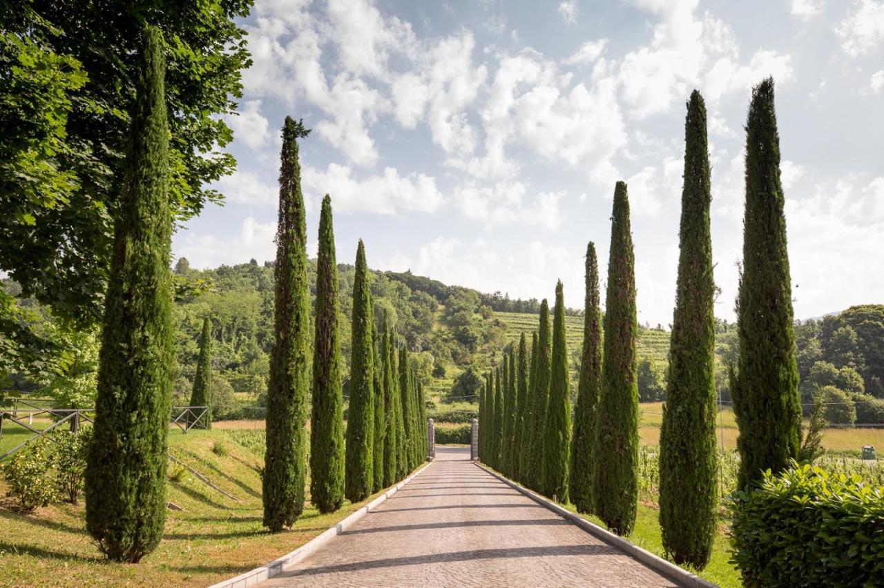 Il Roncal Wine Resort - For Wine Lovers Cividale del Friuli Exteriör bild