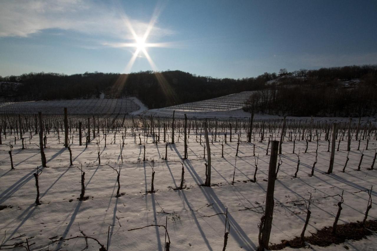Il Roncal Wine Resort - For Wine Lovers Cividale del Friuli Exteriör bild