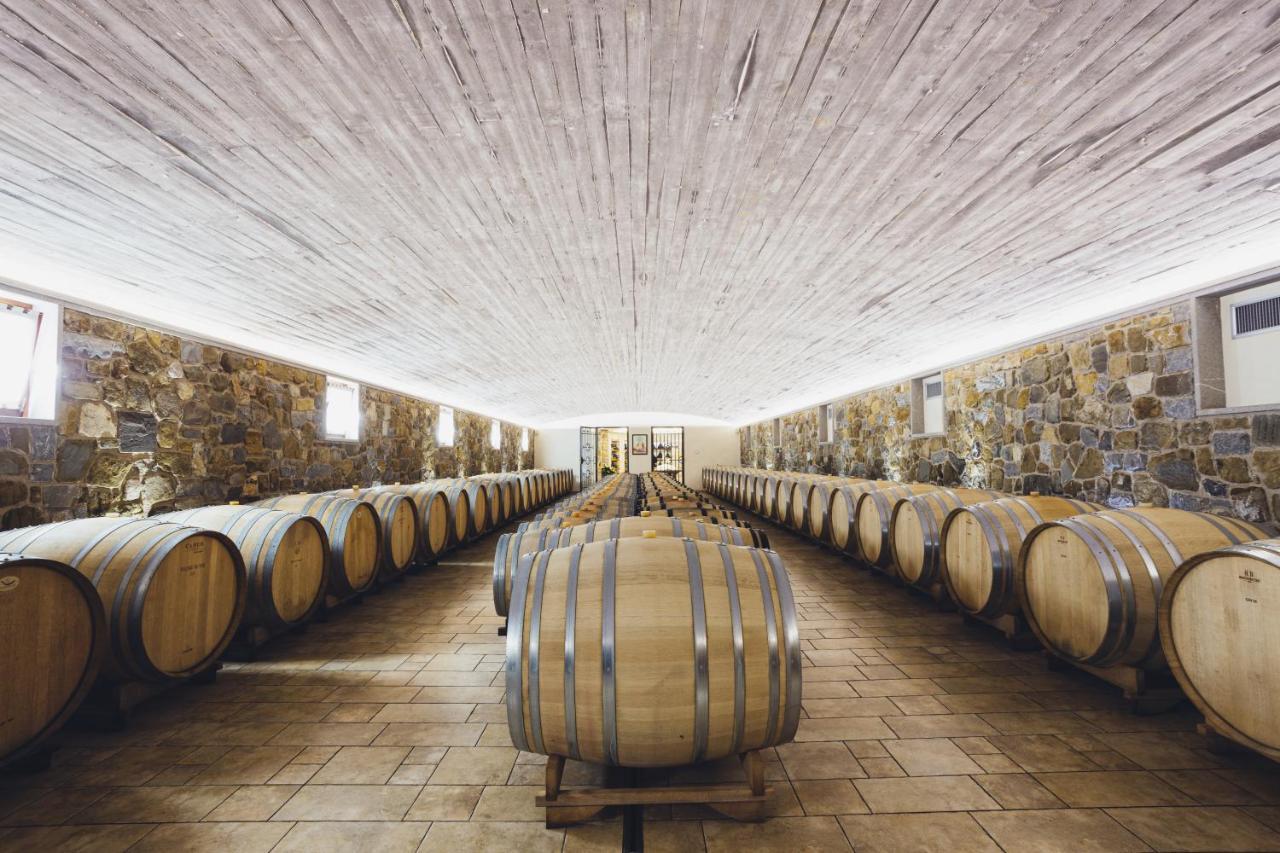 Il Roncal Wine Resort - For Wine Lovers Cividale del Friuli Exteriör bild