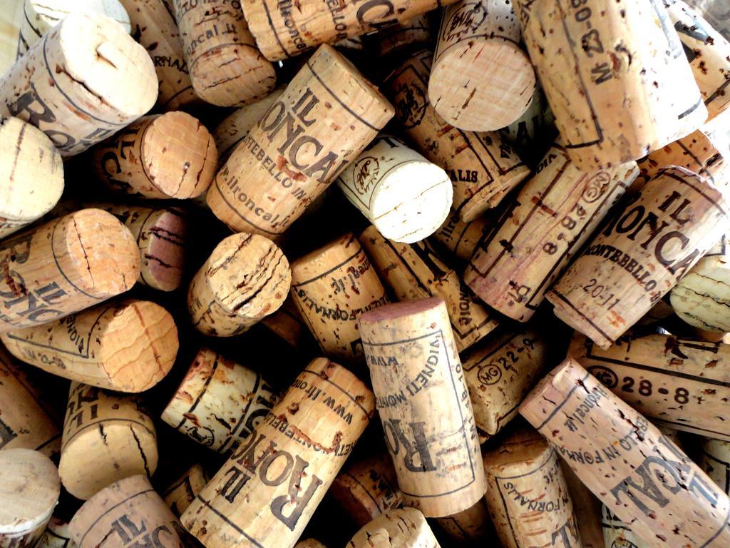 Il Roncal Wine Resort - For Wine Lovers Cividale del Friuli Exteriör bild