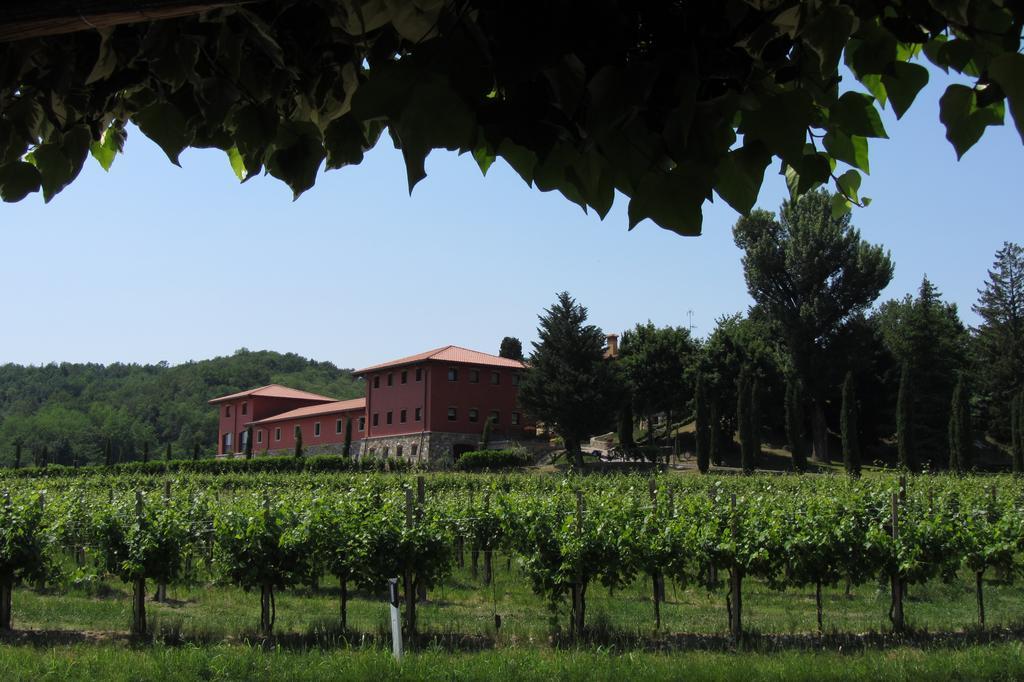 Il Roncal Wine Resort - For Wine Lovers Cividale del Friuli Exteriör bild