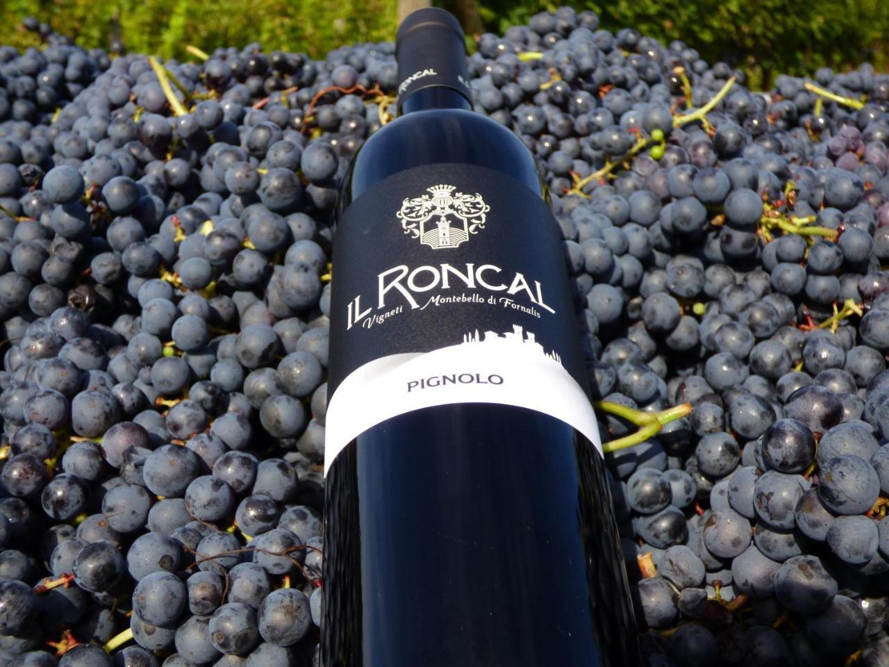 Il Roncal Wine Resort - For Wine Lovers Cividale del Friuli Exteriör bild