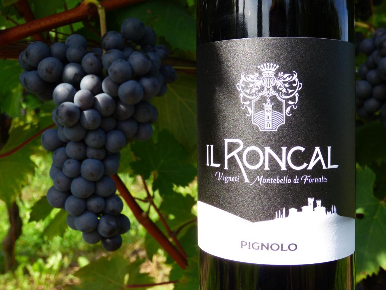 Il Roncal Wine Resort - For Wine Lovers Cividale del Friuli Exteriör bild